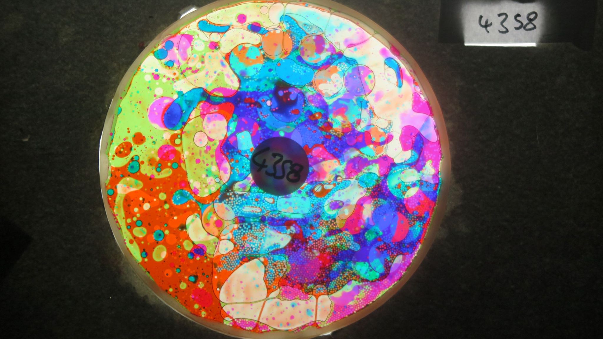 BV4358 bubble vision oil wheel